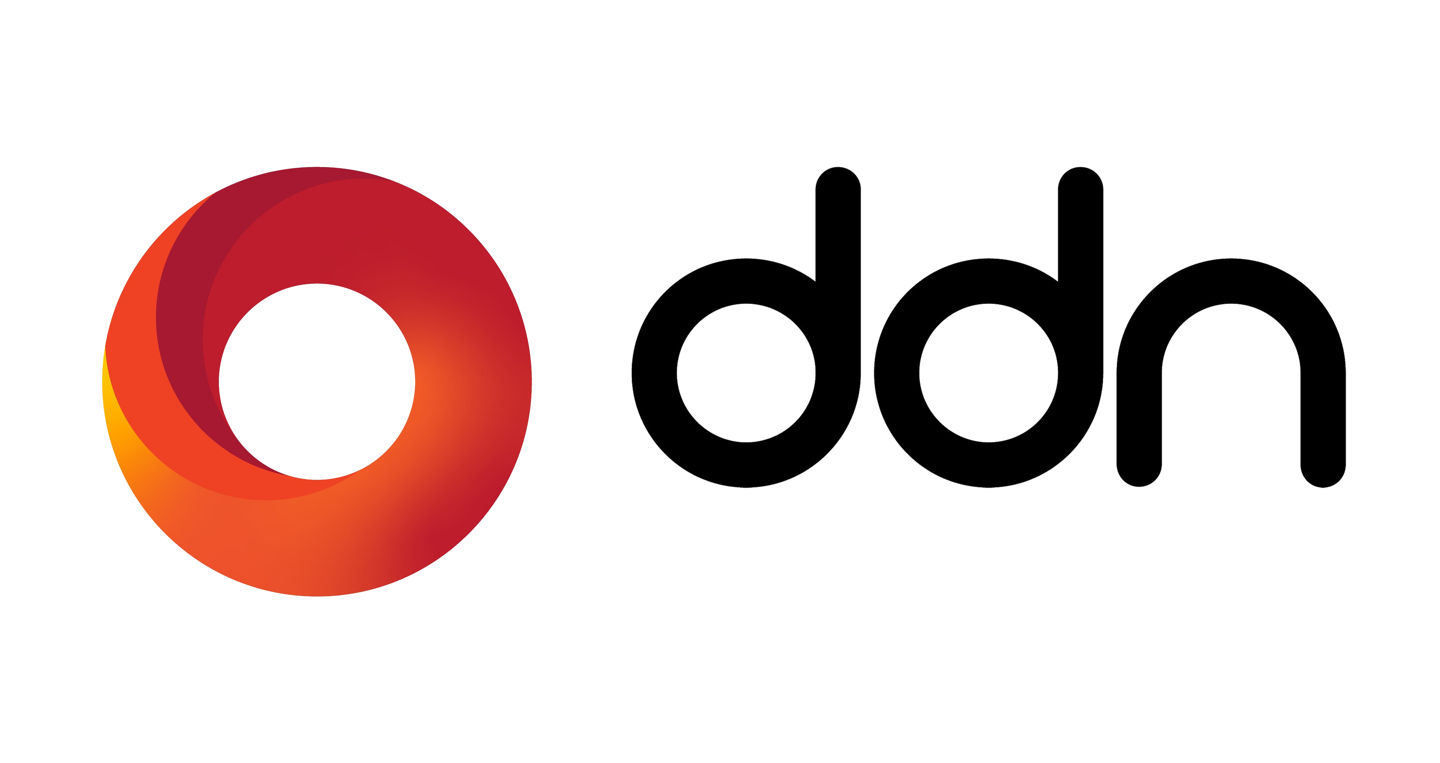 DDn-Logo